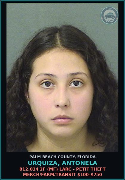 CCW arrest card for URQUIZA, ANTONELA in Palm Beach County: 812.014 2F (MF) LARC - PETIT THEFT MERCH/FARM/TRANSIT $100-$750