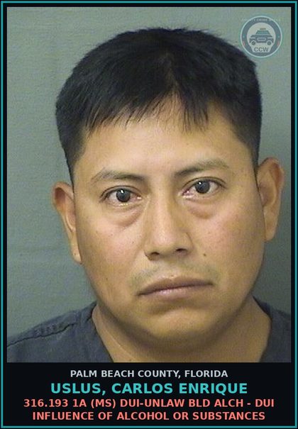 CCW arrest card for USLUS, CARLOS ENRIQUE in Palm Beach County: 316.193 1A (MS) DUI-UNLAW BLD ALCH - DUI INFLUENCE OF ALCOHOL OR DRUGS
