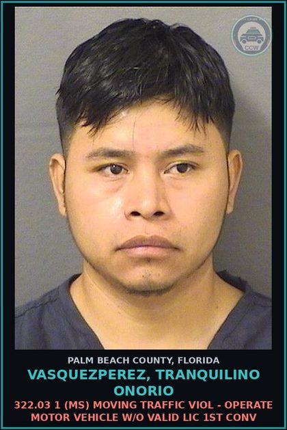 CCW arrest card for VASQUEZPEREZ, TRANQUILINO ONORIO in Palm Beach County: 322.03 1 (MS) MOVING TRAFFIC VIOL - OPERATE MOTOR VEHICLE W/O VALID LIC 1ST CONV