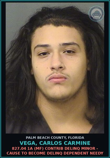CCW arrest card for VEGA, CARLOS CARMINE in Palm Beach County: 893.13 6A (FT) DRUGS-POSSESS - POSSESS contr substance W/O PRESCRIPTION