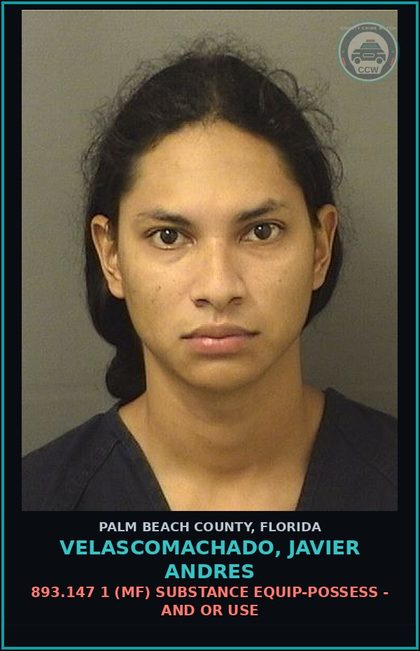 CCW arrest card for VELASCOMACHADO, JAVIER ANDRES in Palm Beach County: 893.13 1A1 (FS) DRUGS-POSSESS - POSS INTENT SELL/MFG/DELIV CTRL SUB SCHEDULE I