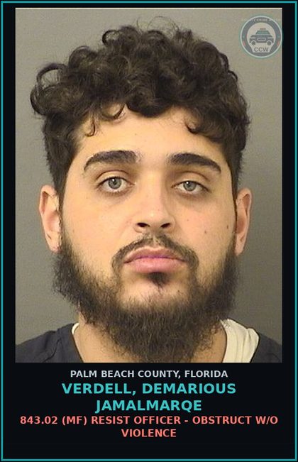 CCW arrest card for VERDELL, DEMARIOUS JAMALMARQE in Palm Beach County: 843.02 (MF) RESIST OFFICER - OBSTRUCT W/O VIOLENCE