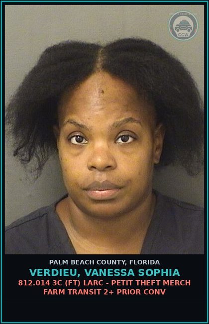 CCW arrest card for VERDIEU, VANESSA SOPHIA in Palm Beach County: 812.014 3C (FT) LARC - PETIT THEFT MERCH FARM TRANSIT 2+ PRIOR CONV