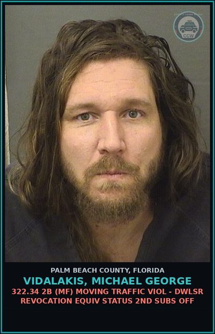 CCW arrest card for VIDALAKIS, MICHAEL GEORGE in Palm Beach County: 893.13 6A (FT) DRUGS-POSSESS - POSSESS contr substance W/O PRESCRIPTION