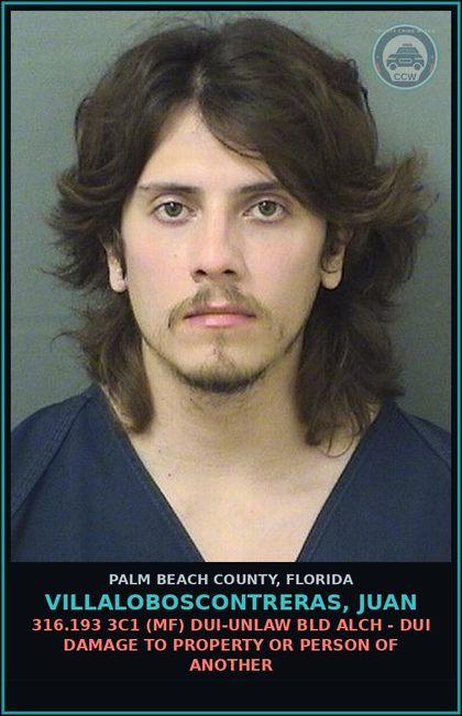 CCW arrest card for VILLALOBOSCONTRERAS, JUAN in Palm Beach County: 316.193 3C1 (MF) DUI-UNLAW BLD ALCH - DUI DAMAGE TO PROPERTY OR PERSON OF ANOTHER