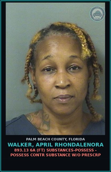 CCW arrest card for WALKER, APRIL RHONDALENORA in Palm Beach County: 893.13 6A (FT) DRUGS-POSSESS - POSSESS contr substance W/O PRESCRIPTION