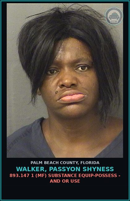 CCW arrest card for WALKER, PASSYON SHYNESS in Palm Beach County: 812.014 3A (MS) LARC - OTHER THEFT