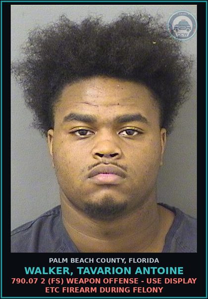 CCW arrest card for WALKER, TAVARION ANTOINE in Palm Beach County: 316.1935 1 (FT) FLEE/ELUDE POLICE - FAIL TO OBEY LEO ORDER TO STOP