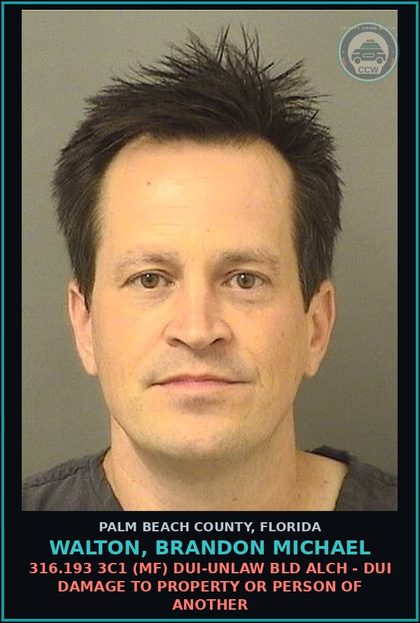 CCW arrest card for WALTON, BRANDON MICHAEL in Palm Beach County: 316.193 3C1 (MF) DUI-UNLAW BLD ALCH - DUI DAMAGE TO PROPERTY OR PERSON OF ANOTHER