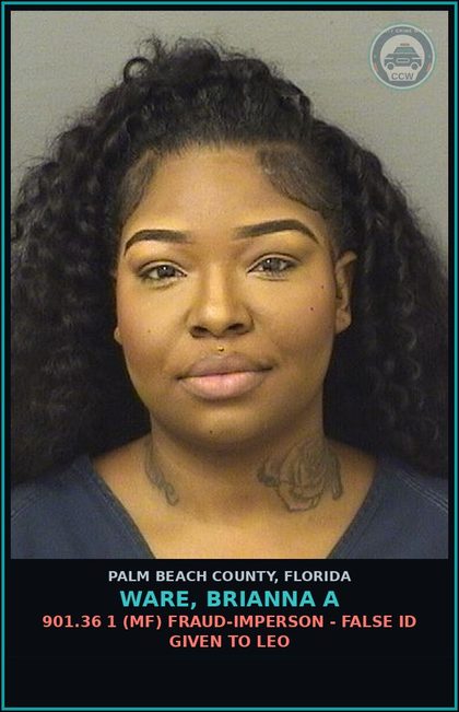 CCW arrest card for WARE, BRIANNA A in Palm Beach County: 843.15 1B (MF) FAILURE TO APPEAR -