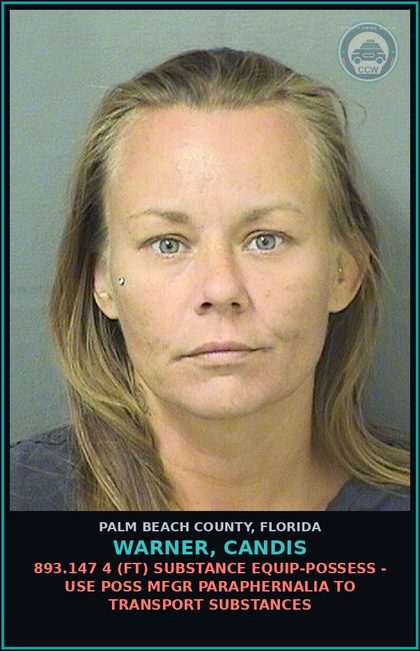 CCW arrest card for WARNER, CANDIS in Palm Beach County: 893.13 1A1 (FS) DRUGS-DELIV/DISTR - DELIVER contr substance SCHEDULE I