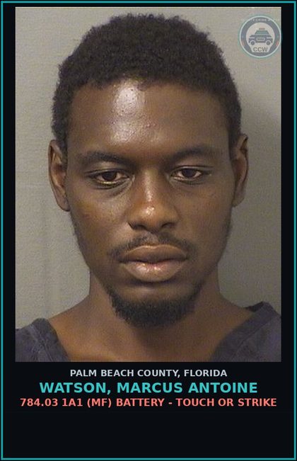 CCW arrest card for WATSON, MARCUS ANTOINE in Palm Beach County: 800.03 1A (MF) INDECENT EXPOSURE - EXPOSURE OF s3xual ORGANS 1ST OFFENSE