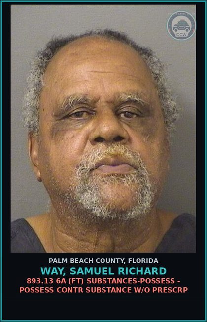 CCW arrest card for WAY, SAMUEL RICHARD in Palm Beach County: 893.13 6A (FT) DRUGS-POSSESS - POSSESS contr substance W/O PRESCRIPTION