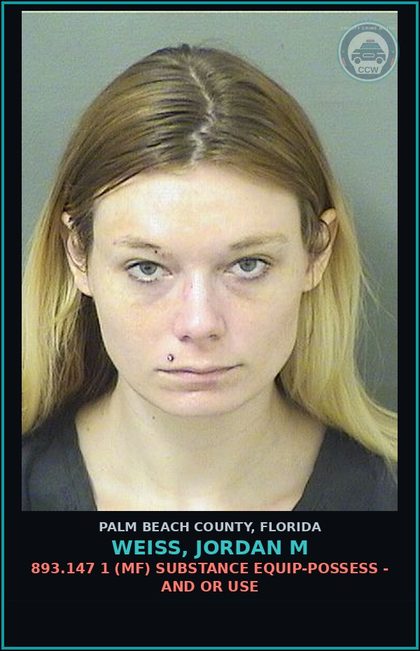 CCW arrest card for WEISS, JORDAN M in Palm Beach County: 893.13 6A (FT) DRUGS-POSSESS - POSSESS contr substance W/O PRESCRIPTION