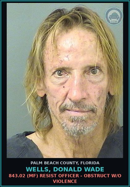 CCW arrest card for WELLS, DONALD WADE in Palm Beach County: 843.02 (MF) RESIST OFFICER - OBSTRUCT W/O VIOLENCE