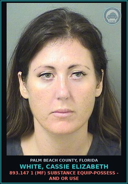 CCW arrest card for WHITE, CASSIE ELIZABETH in Palm Beach County: 893.13 6A (FT) DRUGS-POSSESS - POSSESS contr substance W/O PRESCRIPTION