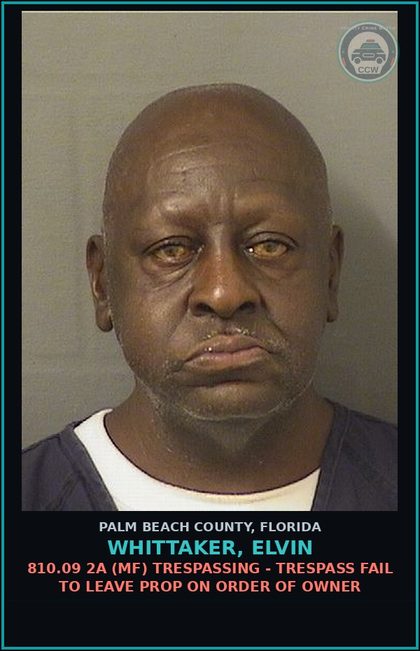 CCW arrest card for WHITTAKER, ELVIN in Palm Beach County: 810.09 2A (MF) TRESPASSING - TRESPASS FAIL TO LEAVE PROP ON ORDER OF OWNER