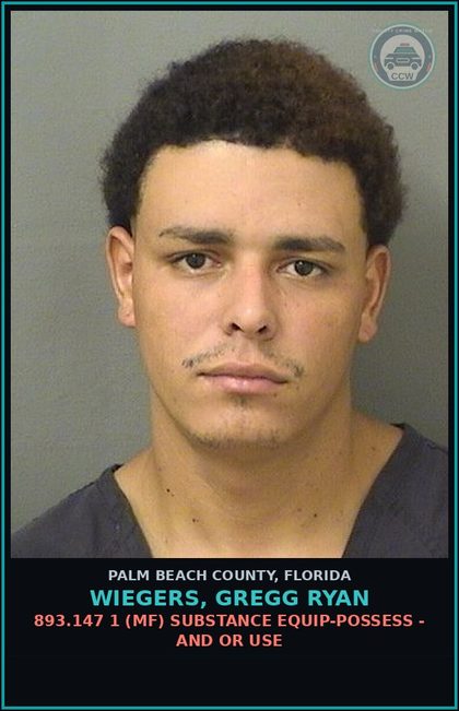 CCW arrest card for WIEGERS, GREGG RYAN in Palm Beach County: 893.13 6A (FT) DRUGS-POSSESS - POSSESS contr substance W/O PRESCRIPTION