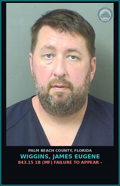 CCW arrest card for WIGGINS, JAMES EUGENE in Palm Beach County: 806.13 1B3 (FT) DAMAGE PROP-CRIM MISCH - CRIMINAL MISCHIEF DAMAGE PROPERTY $1000+
