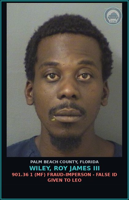 CCW arrest card for WILEY, ROY JAMES III in Palm Beach County: 893.13 6A (FT) DRUGS-POSSESS - POSSESS contr substance W/O PRESCRIPTION