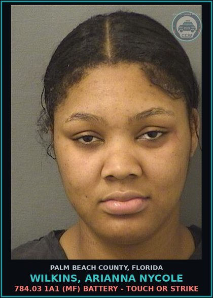 CCW arrest card for WILKINS, ARIANNA NYCOLE in Palm Beach County: 784.03 1A1 (MF) BATTERY - TOUCH OR STRIKE