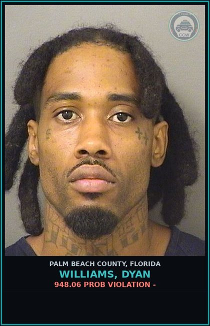 CCW arrest card for WILLIAMS, DYAN in Palm Beach County: 948.06 PROB VIOLATION -