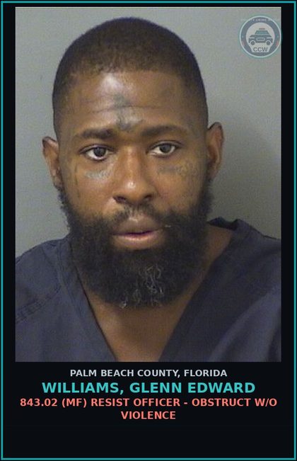 CCW arrest card for WILLIAMS, GLENN EDWARD in Palm Beach County: 893.13 1A1 (FS) DRUGS-POSSESS - POSS INTENT SELL/MFG/DEL CTRL SUB SCHEDULE II