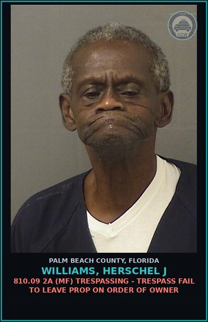 CCW arrest card for WILLIAMS, HERSCHEL J in Palm Beach County: 810.09 2A (MF) TRESPASSING - TRESPASS FAIL TO LEAVE PROP ON ORDER OF OWNER