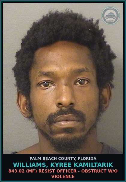 CCW arrest card for WILLIAMS, KYREE KAMILTARIK in Palm Beach County: 856.021 (MS) LOITERING - LOITER/PROWL IN UNSUAL PLACE OR MANNER