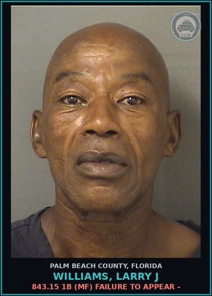 CCW arrest card for WILLIAMS, LARRY J in Palm Beach County: 843.15 1B (MF) FAILURE TO APPEAR -