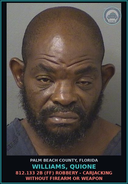 CCW arrest card for WILLIAMS, QUIONE in Palm Beach County: 812.133 2B (FF) ROBBERY - CARJACKING WITHOUT FIREARM OR WEAPON