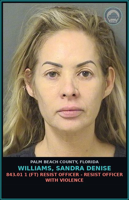 CCW arrest card for WILLIAMS, SANDRA DENISE in Palm Beach County: 877.03 (MS) DISTURBING PEACE - BREACH OF THE PEACE