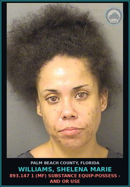 CCW arrest card for WILLIAMS, SHELENA MARIE in Palm Beach County: 893.13 6A (FT) DRUGS-POSSESS - POSSESS contr substance W/O PRESCRIPTION