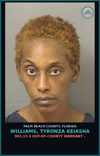 CCW arrest card for WILLIAMS, TYRONZA KEIASHA in Palm Beach County: 901.15 4 OUT-OF-COUNTY WARRANT -