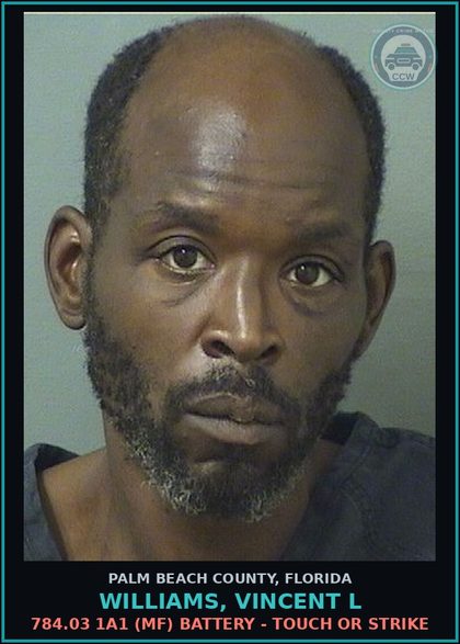 CCW arrest card for WILLIAMS, VINCENT L in Palm Beach County: 784.03 1A1 (MF) BATTERY - TOUCH OR STRIKE