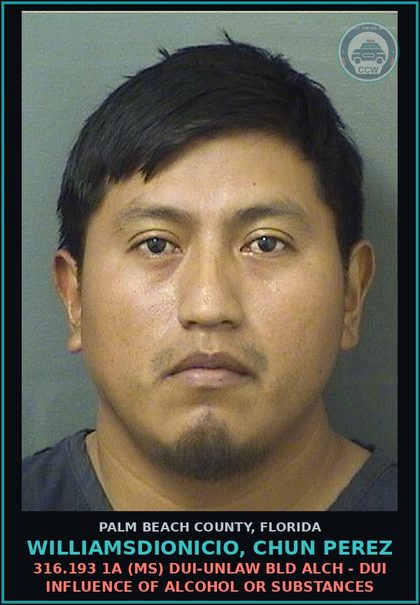 CCW arrest card for WILLIAMSDIONICIO, CHUN PEREZ in Palm Beach County: 316.193 1A (MS) DUI-UNLAW BLD ALCH - DUI INFLUENCE OF ALCOHOL OR DRUGS