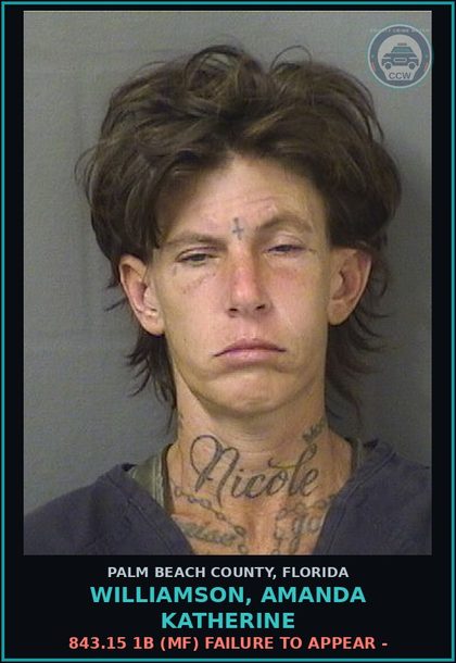 CCW arrest card for WILLIAMSON, AMANDA KATHERINE in Palm Beach County: 843.15 1B (MF) FAILURE TO APPEAR -