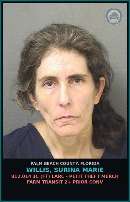CCW arrest card for WILLIS, SURINA MARIE in Palm Beach County: 812.014 3C (FT) LARC - PETIT THEFT MERCH FARM TRANSIT 2+ PRIOR CONV