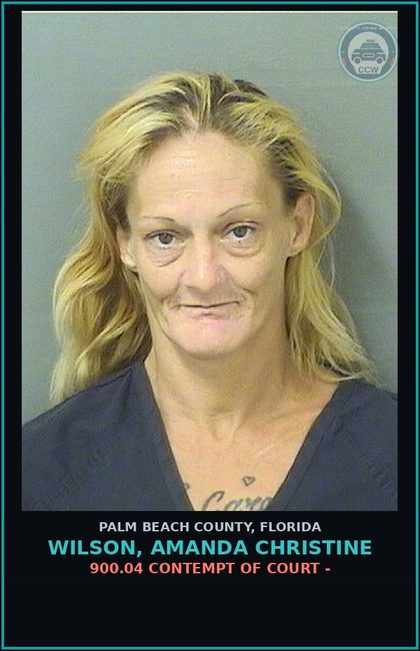CCW arrest card for WILSON, AMANDA CHRISTINE in Palm Beach County: 900.04 CONTEMPT OF COURT -