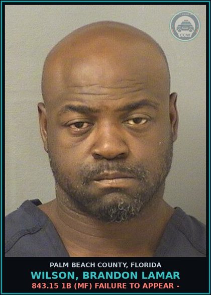 CCW arrest card for WILSON, BRANDON LAMAR in Palm Beach County: 843.15 1A (FT) FAILURE TO APPEAR -