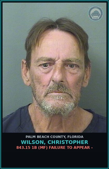 CCW arrest card for WILSON, CHRISTOPHER in Palm Beach County: 843.15 1B (MF) FAILURE TO APPEAR -