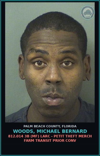 CCW arrest card for WOODS, MICHAEL BERNARD in Palm Beach County: 893.147 1 (MF) DRUG EQUIP-POSSESS - AND OR USE