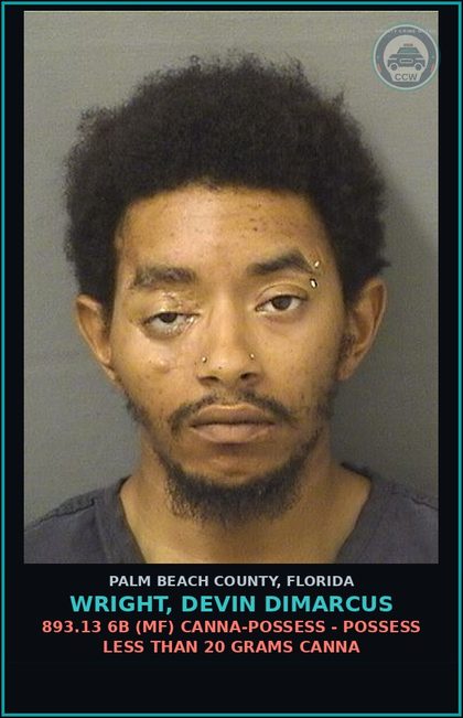CCW arrest card for WRIGHT, DEVIN DIMARCUS in Palm Beach County: 322.34 5 (FT) MOVING TRAFFIC VIOL - DRIVE WHILE LIC SUSP HABITUAL OFFENDER