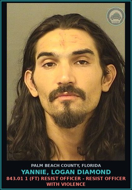 CCW arrest card for YANNIE, LOGAN DIAMOND in Palm Beach County: 843.01 1 (FT) RESIST OFFICER - RESIST OFFICER WITH VIOLENCE