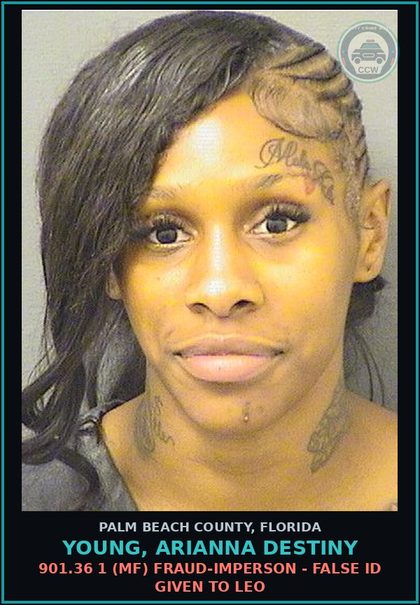 CCW arrest card for YOUNG, ARIANNA DESTINY in Palm Beach County: 893.13 6B (MF) Canna-POSSESS - POSSESS LESS THAN 20 GRAMS Canna