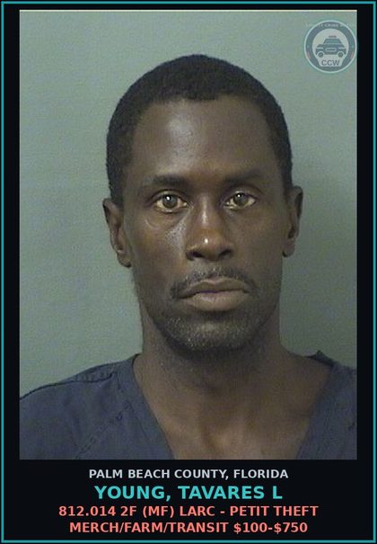 CCW arrest card for YOUNG, TAVARES L in Palm Beach County: 812.014 2F (MF) LARC - PETIT THEFT MERCH/FARM/TRANSIT $100-$750