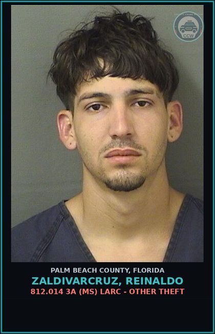 CCW arrest card for ZALDIVARCRUZ, REINALDO in Palm Beach County: 812.014 3A (MS) LARC - OTHER THEFT