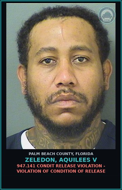 CCW arrest card for ZELEDON, AQUILEES V in Palm Beach County: 947.141 CONDIT RELEASE VIOLATION - VIOLATION OF CONDITION OF RELEASE