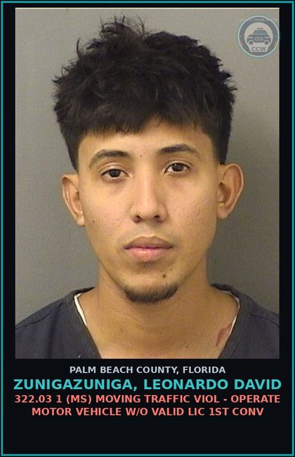 CCW arrest card for ZUNIGAZUNIGA, LEONARDO DAVID in Palm Beach County: 322.03 1 (MS) MOVING TRAFFIC VIOL - OPERATE MOTOR VEHICLE W/O VALID LIC 1ST CONV