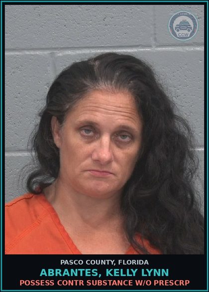 CCW arrest card for ABRANTES, KELLY LYNN in Pasco County: POSSESS contr substance W/O PRESCRIPTION